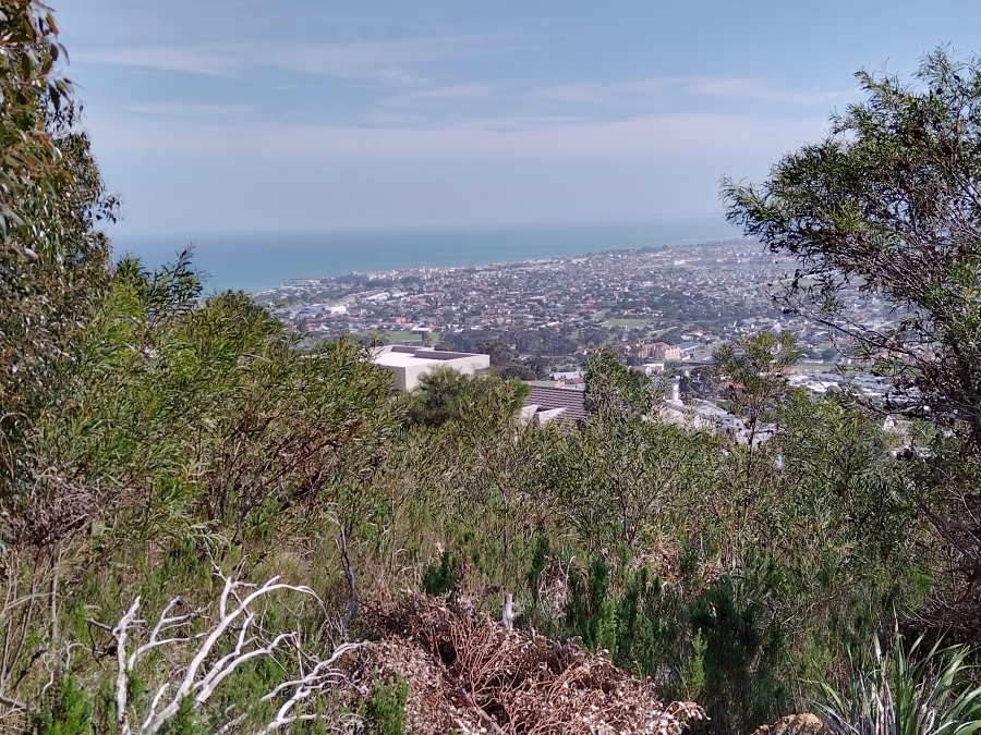 0 Bedroom Property for Sale in Mansfield Western Cape